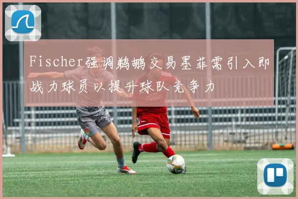 Fischer强调鹈鹕交易墨菲需引入即战力球员以提升球队竞争力
