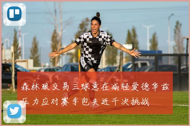 森林狼交易三球意在减轻爱德华兹压力应对赛季包夹近千次挑战