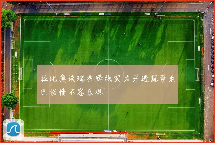 拉比奥谈瑞典锋线实力并透露萨利巴伤情不容乐观